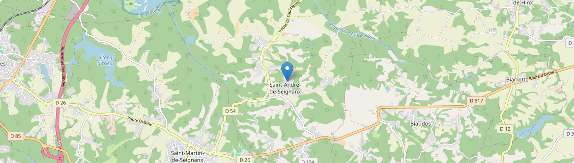 Saint-André-de-Seignanx - Carte