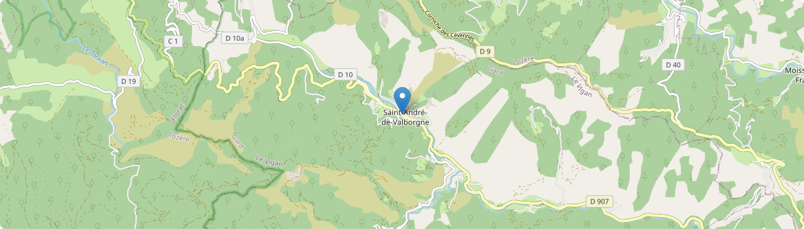 Saint-André-de-Valborgne - Carte