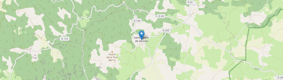 Saint-André-de-Vézines - Carte