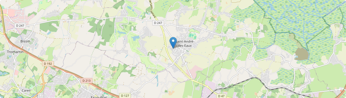 Saint-André-des-Eaux - Carte