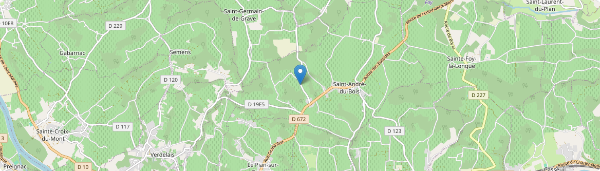 Saint-André-du-Bois - Carte