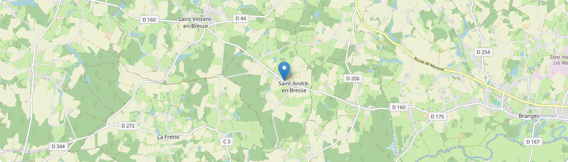 Saint-André-en-Bresse - Carte