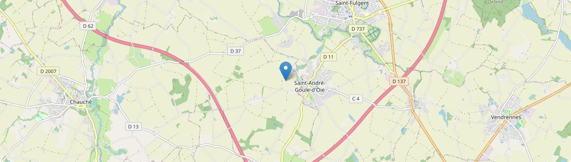 Saint-André-Goule-d'Oie - Carte