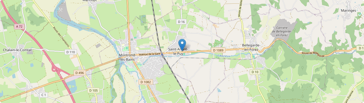 Saint-André-le-Puy - Carte