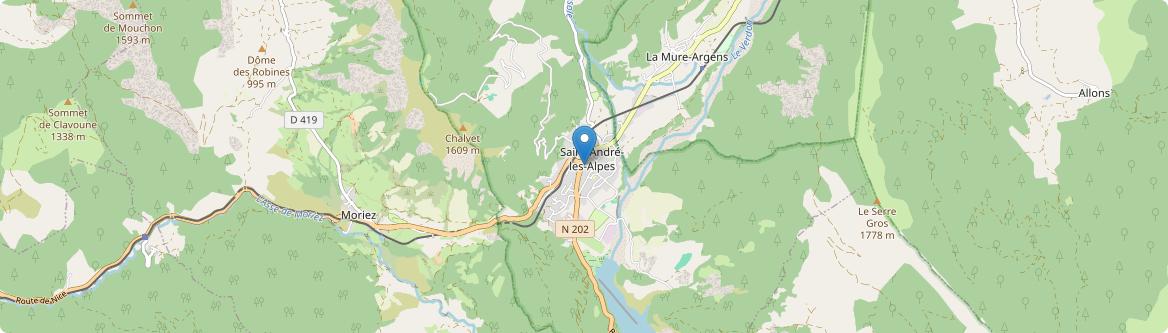 Saint-André-les-Alpes - Carte