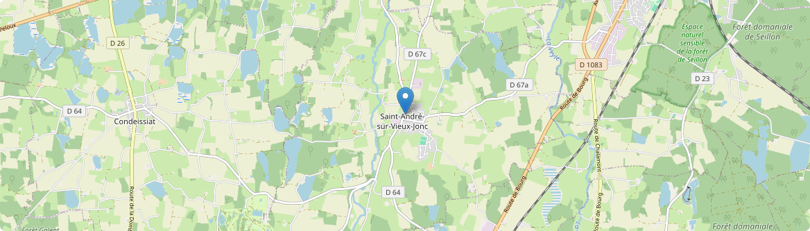 Saint-André-sur-Vieux-Jonc - Carte