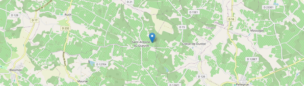 Saint-Antoine-du-Queyret - Carte