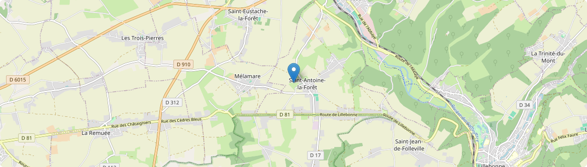 Saint-Antoine-la-Forêt - Carte