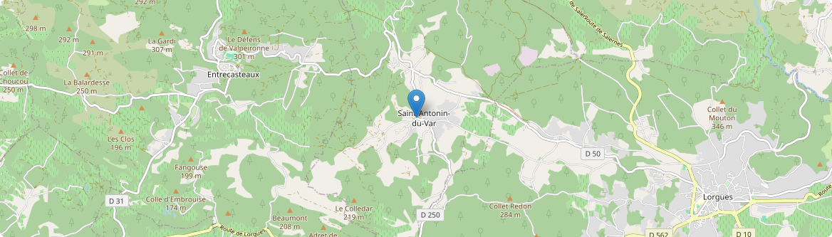 Saint-Antonin-du-Var - Carte
