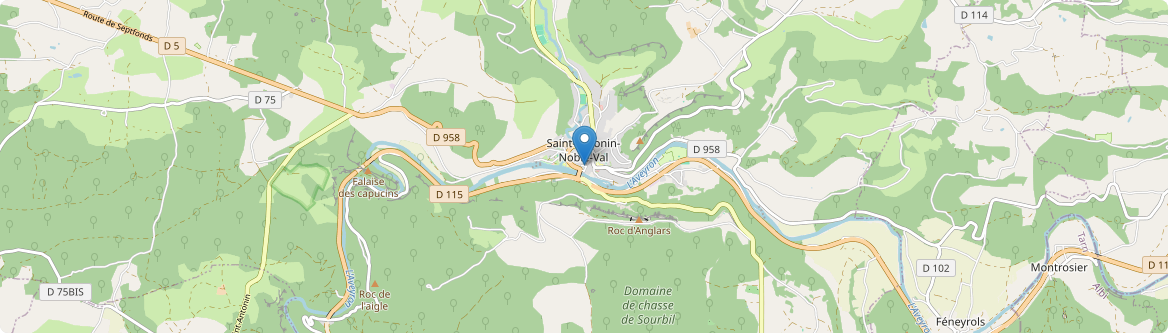 Saint-Antonin-Noble-Val - Carte