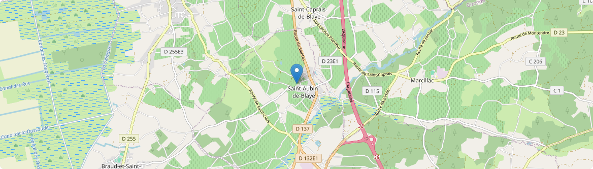 Saint-Aubin-de-Blaye - Carte