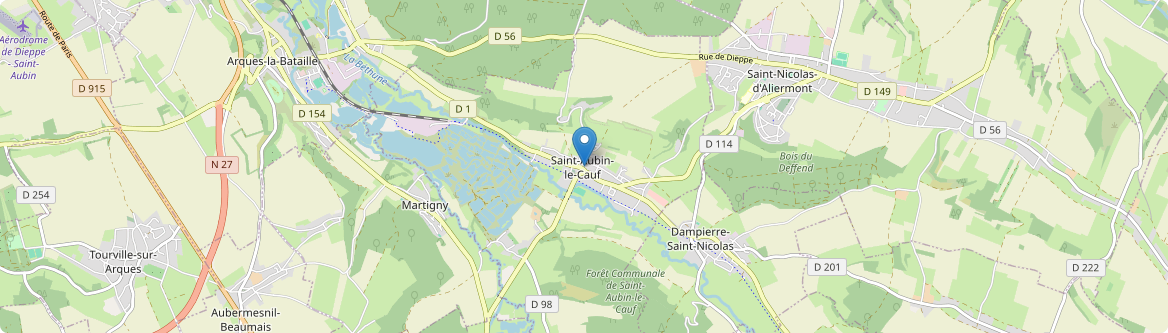 Saint-Aubin-le-Cauf - Carte