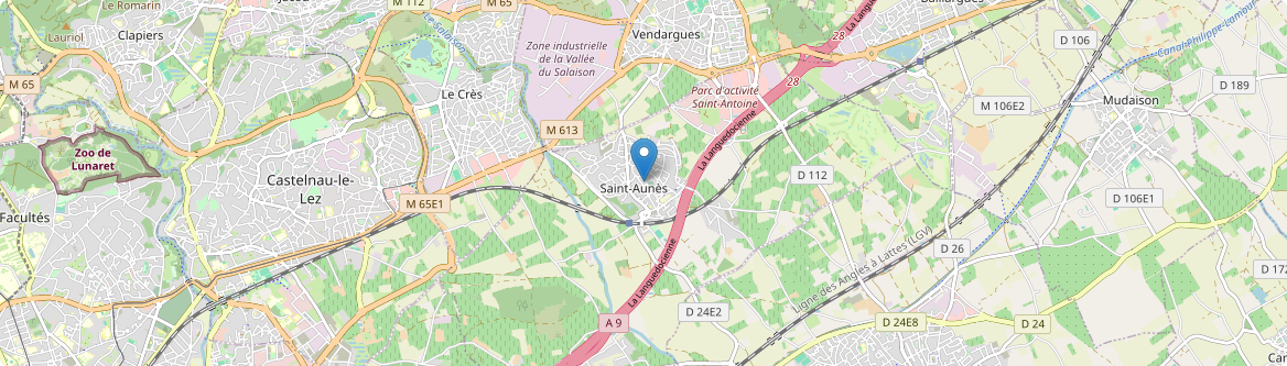 Saint-Aunès - Carte