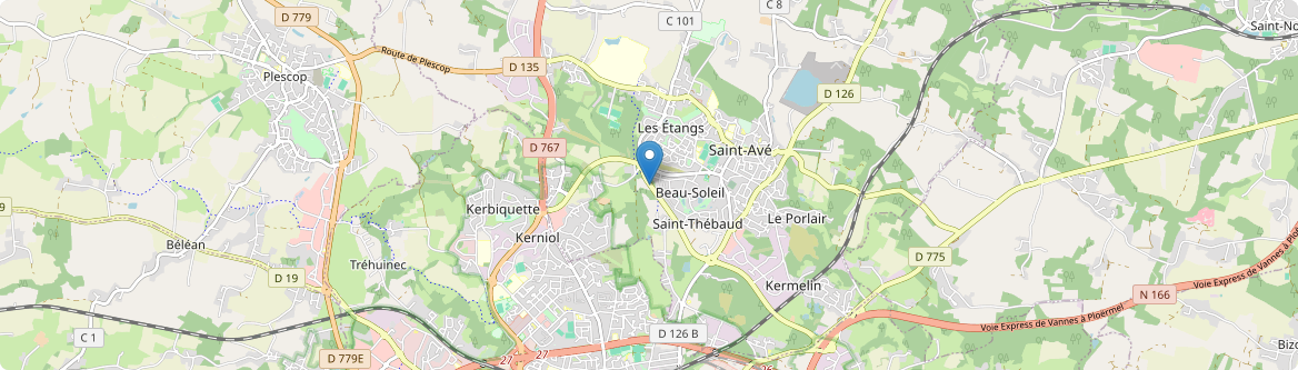 Saint-Avé - Carte