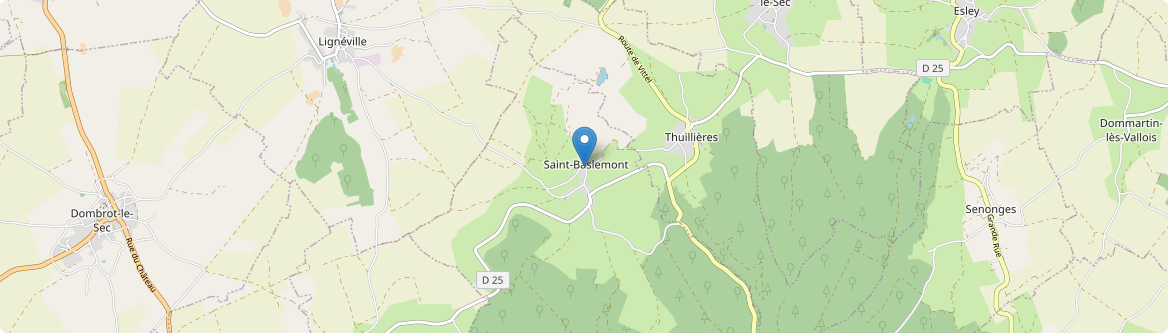 Saint-Baslemont - Carte