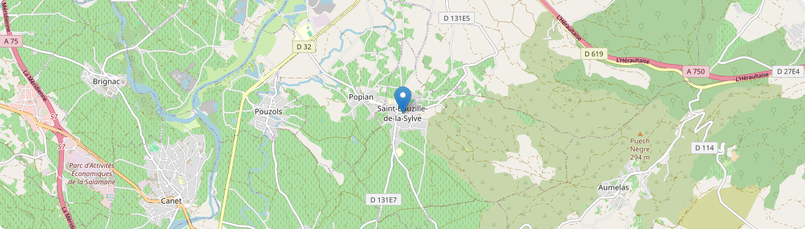 Saint-Bauzille-de-la-Sylve - Carte