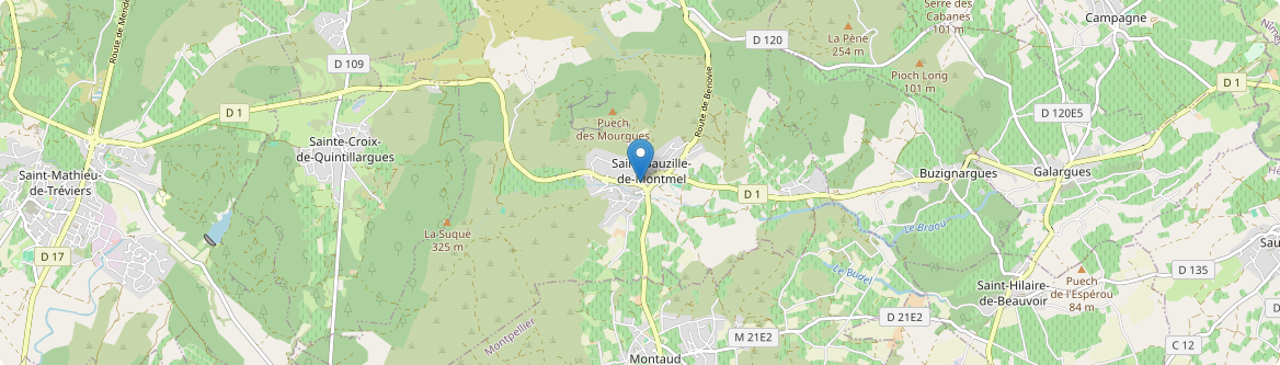 Saint-Bauzille-de-Montmel - Carte