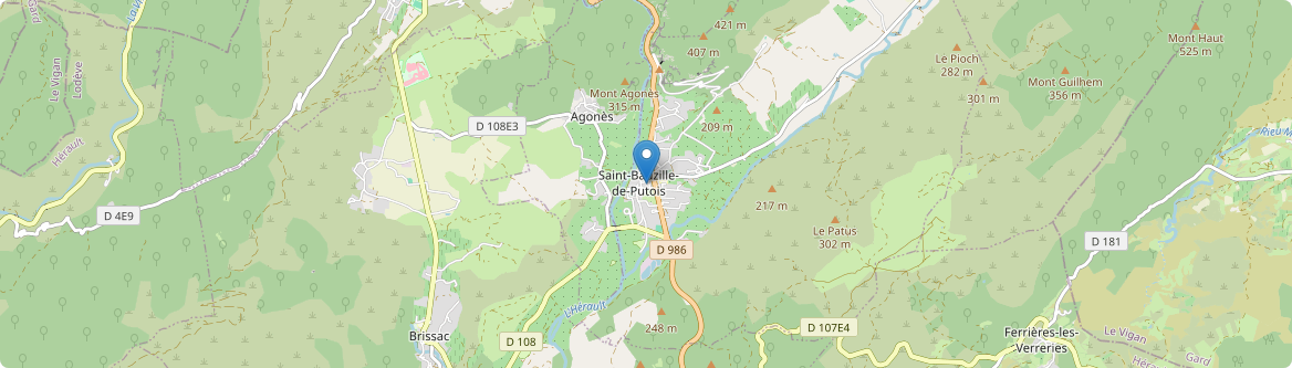 Saint-Bauzille-de-Putois - Carte