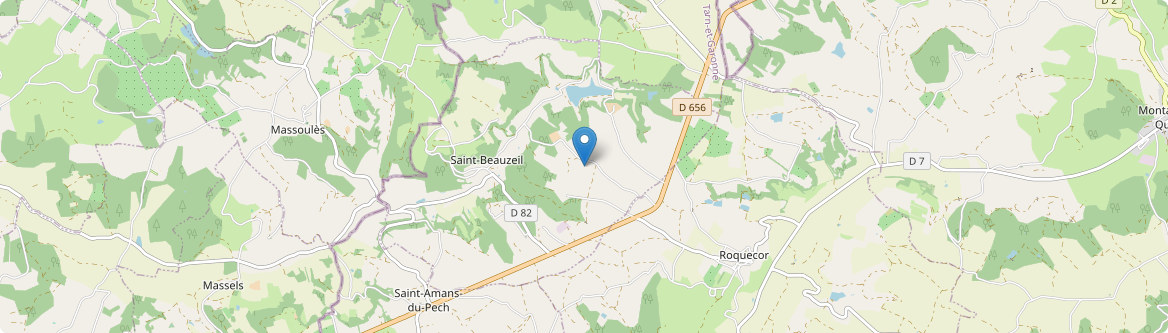 Saint-Beauzeil - Carte