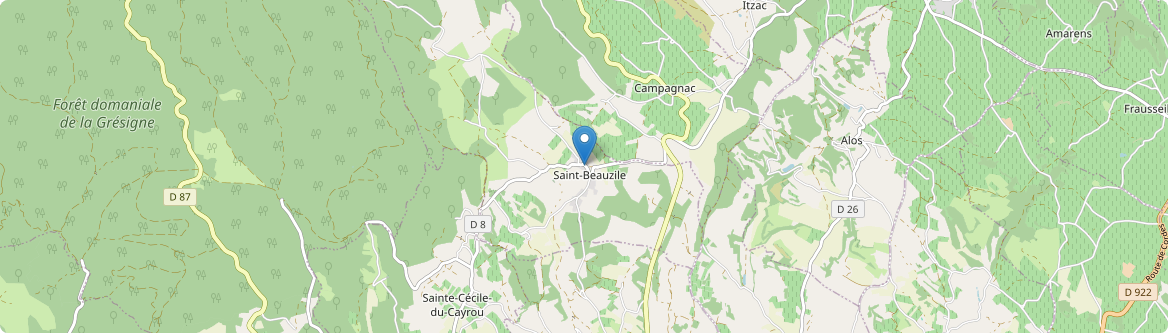 Saint-Beauzile - Carte