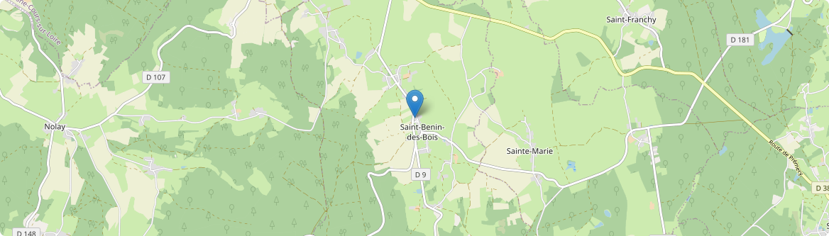 Saint-Benin-des-Bois - Carte