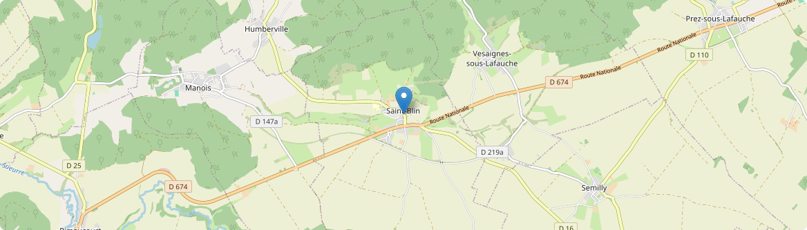 Saint-Blin - Carte