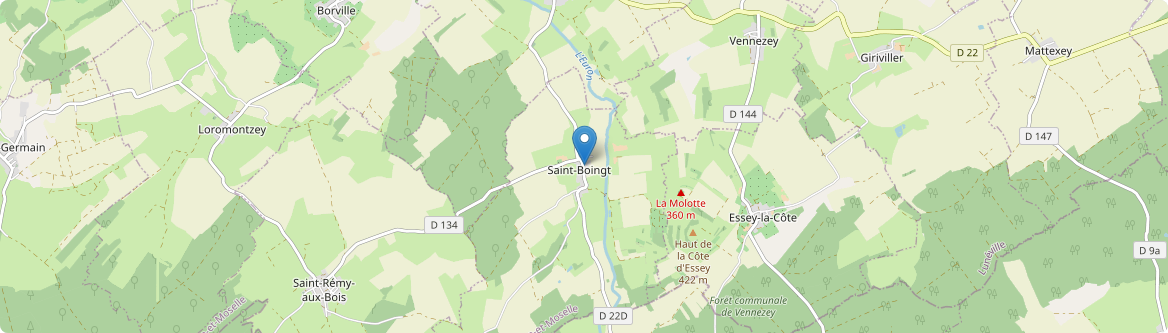 Saint-Boingt - Carte