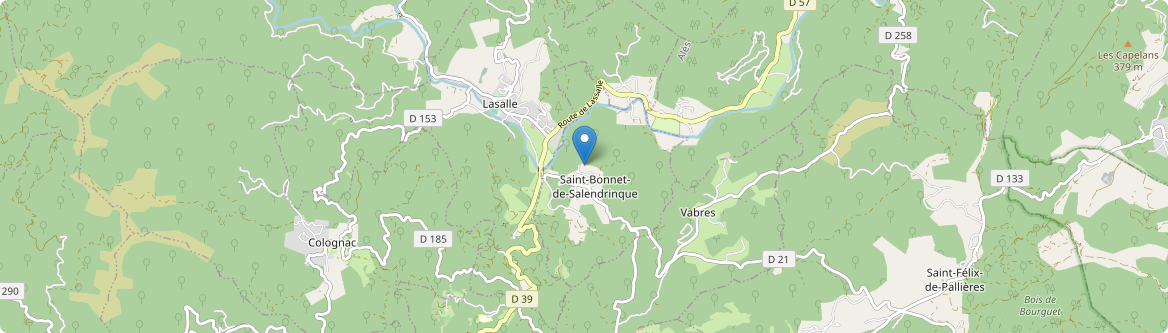 Saint-Bonnet-de-Salendrinque - Carte
