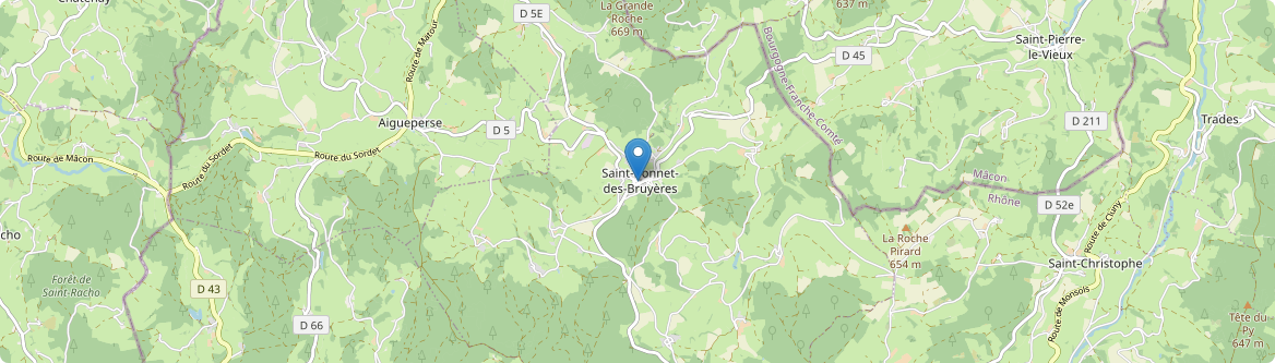 Saint-Bonnet-des-Bruyères - Carte