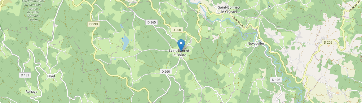 Saint-Bonnet-le-Bourg - Carte