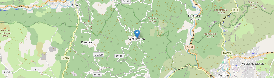 Saint-Bresson - Carte