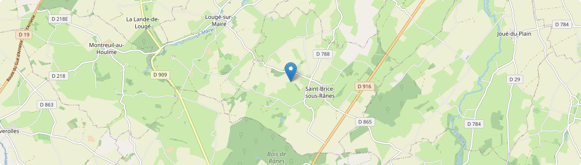 Saint-Brice-sous-Rânes - Carte