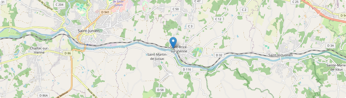 Saint-Brice-sur-Vienne - Carte