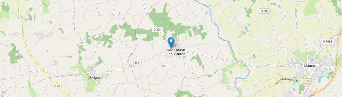 Saint-Brieuc-de-Mauron - Carte