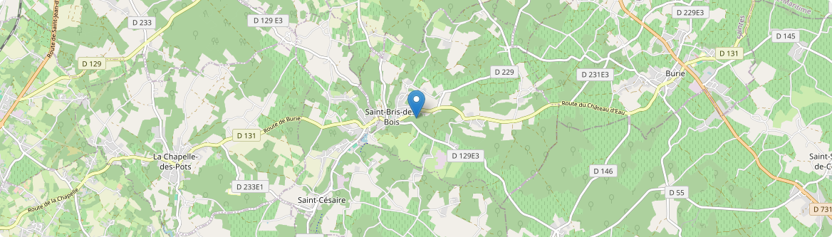 Saint-Bris-des-Bois - Carte