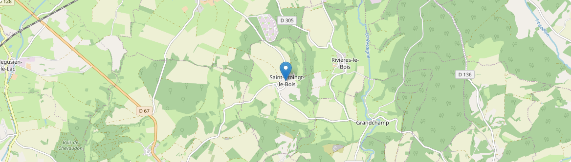 Saint-Broingt-le-Bois - Carte