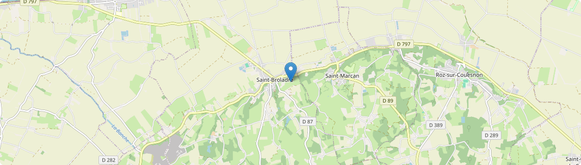Saint-Broladre - Carte