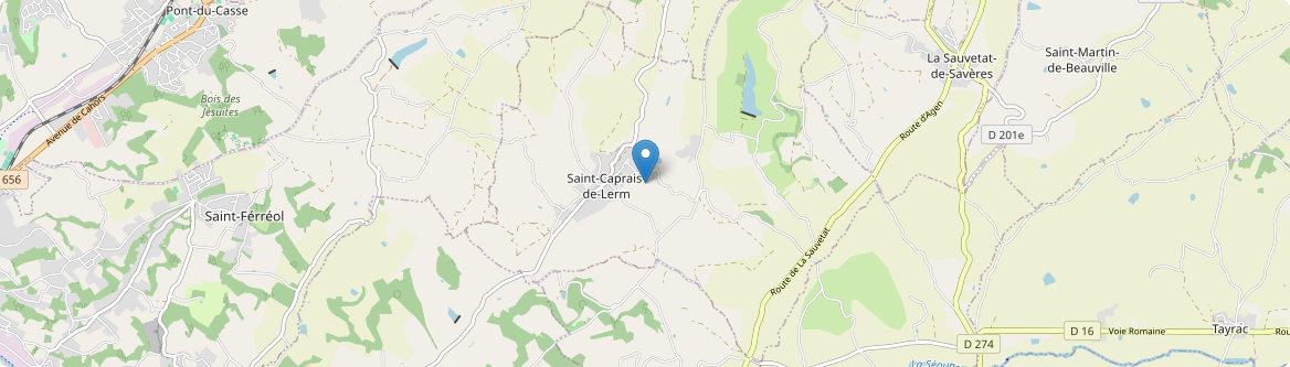 Saint-Caprais-de-Lerm - Carte