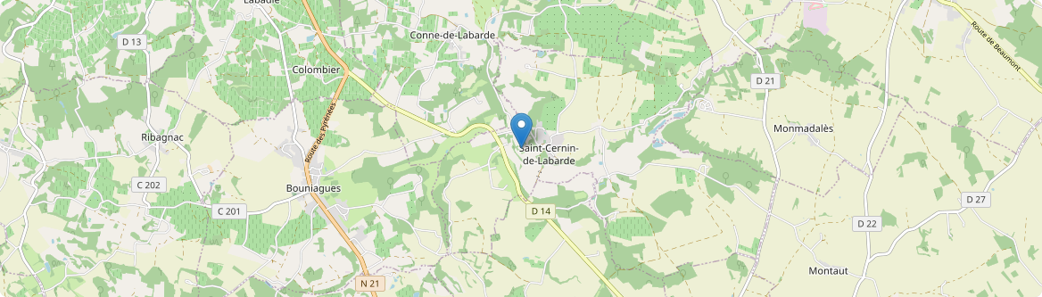 Saint-Cernin-de-Labarde - Carte