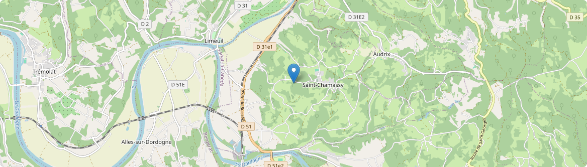 Saint-Chamassy - Carte