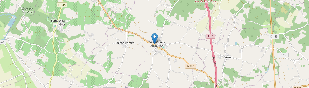 Saint-Ciers-du-Taillon - Carte