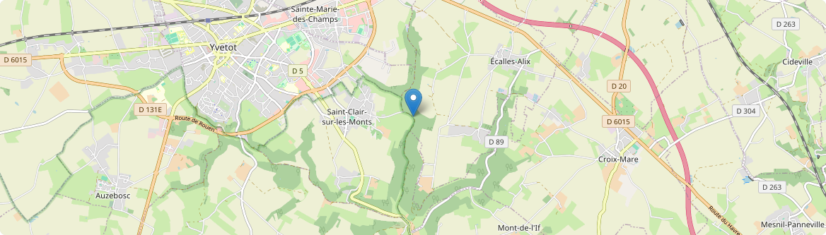 Saint-Clair-sur-les-Monts - Carte