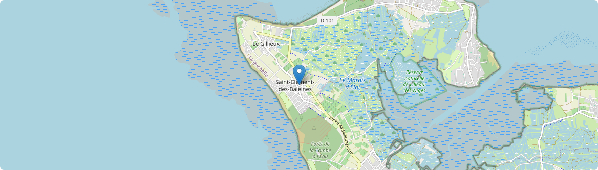 Saint-Clément-des-Baleines - Carte