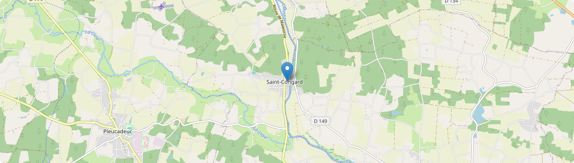 Saint-Congard - Carte