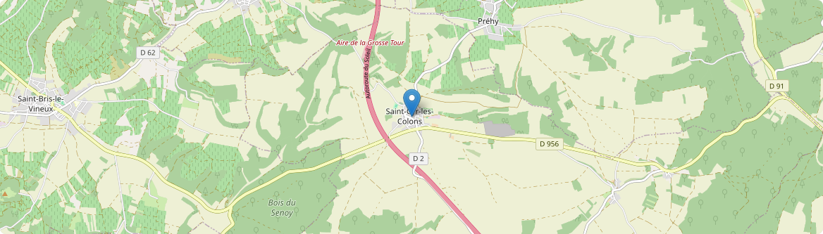Saint-Cyr-les-Colons - Carte