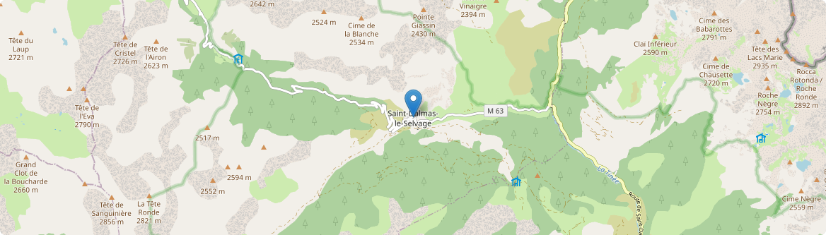Saint-Dalmas-le-Selvage - Carte