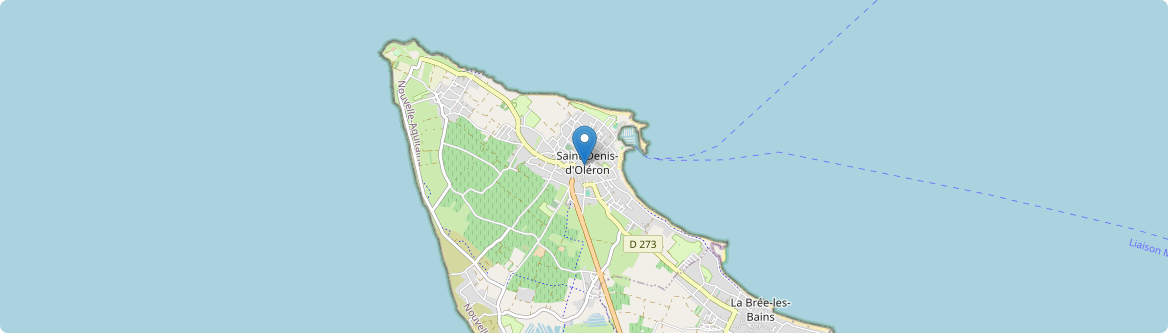 Saint-Denis-d'Oléron - Carte