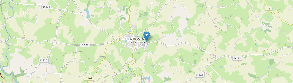 Saint-Denis-de-Gastines - Carte