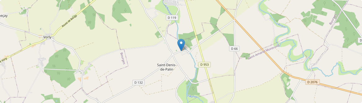 Saint-Denis-de-Palin - Carte