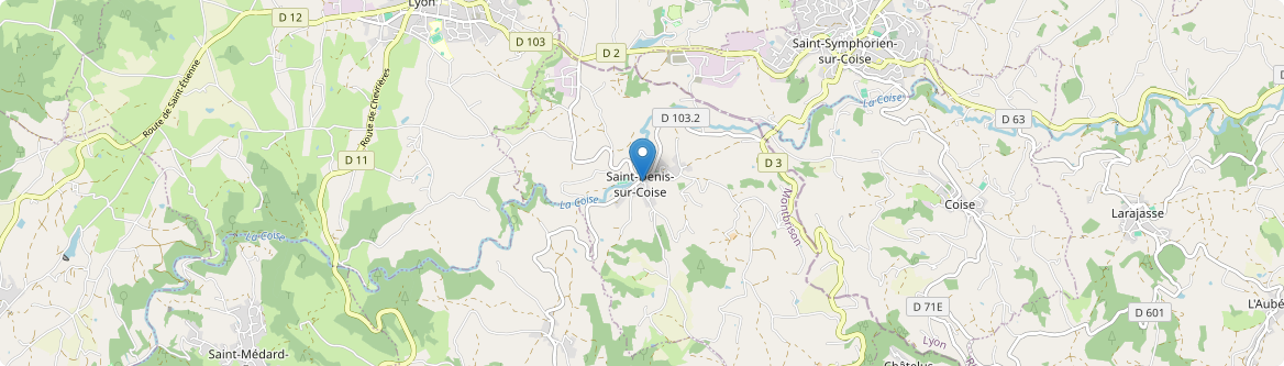 Saint-Denis-sur-Coise - Carte